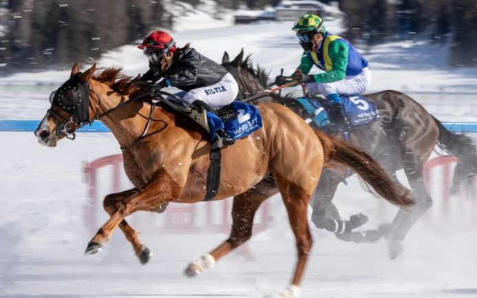Horse racing betting tips