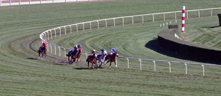 Horse racing betting tips