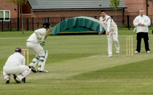 cricket